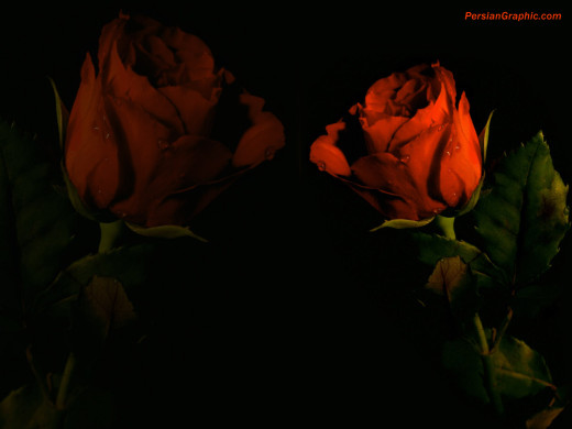 419581 (a): :1600x1200
